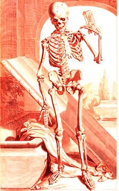 Table 87 Skeleton